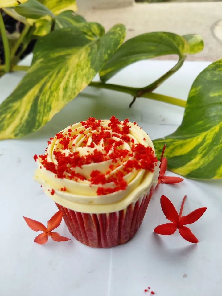 Red Velvet cupcakes — photo 1 of 2